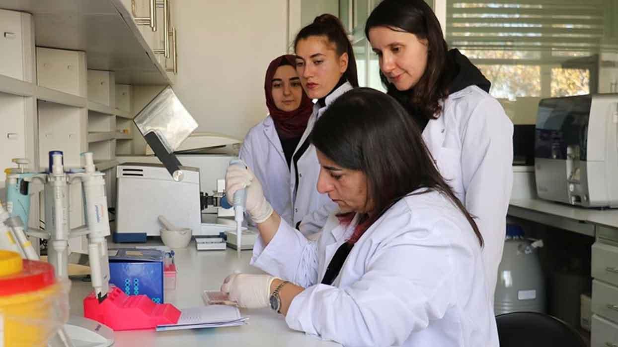 Mutluluk hormonunun vücut üzerindeki etkilerini inceleniyor