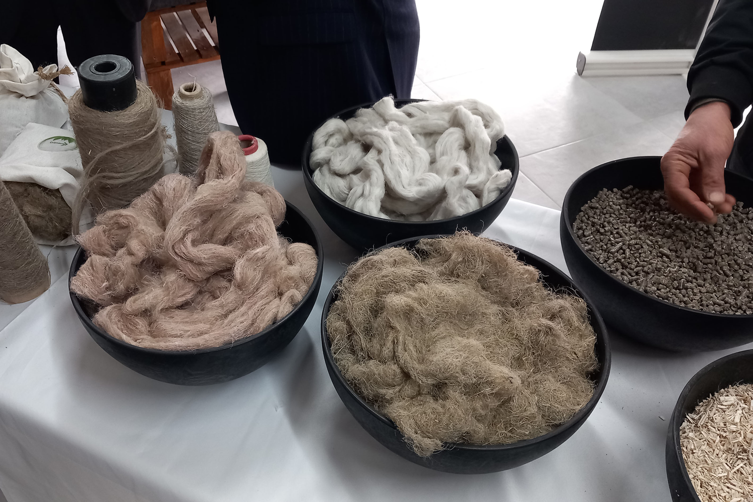 Samsun'da kenevir işleyecek fabrika tanıtıldı
