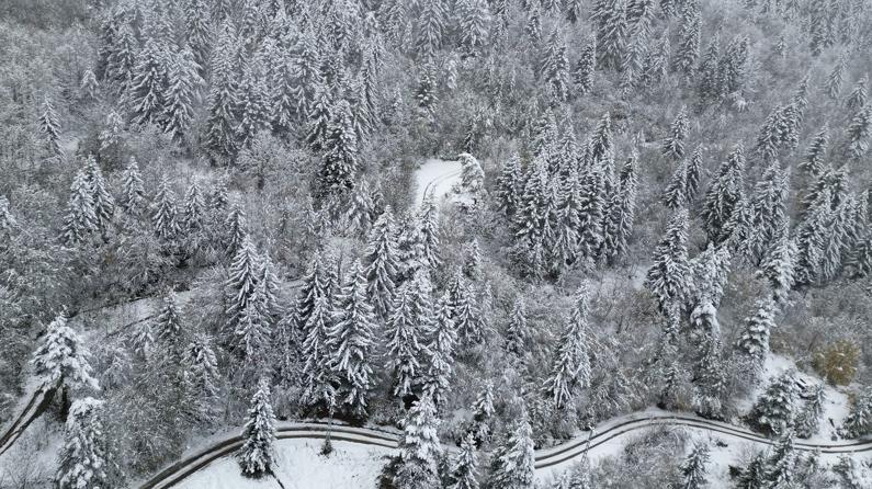 Rize, Artvin ve Bayburt'ta kar yağışı etkili oluyor