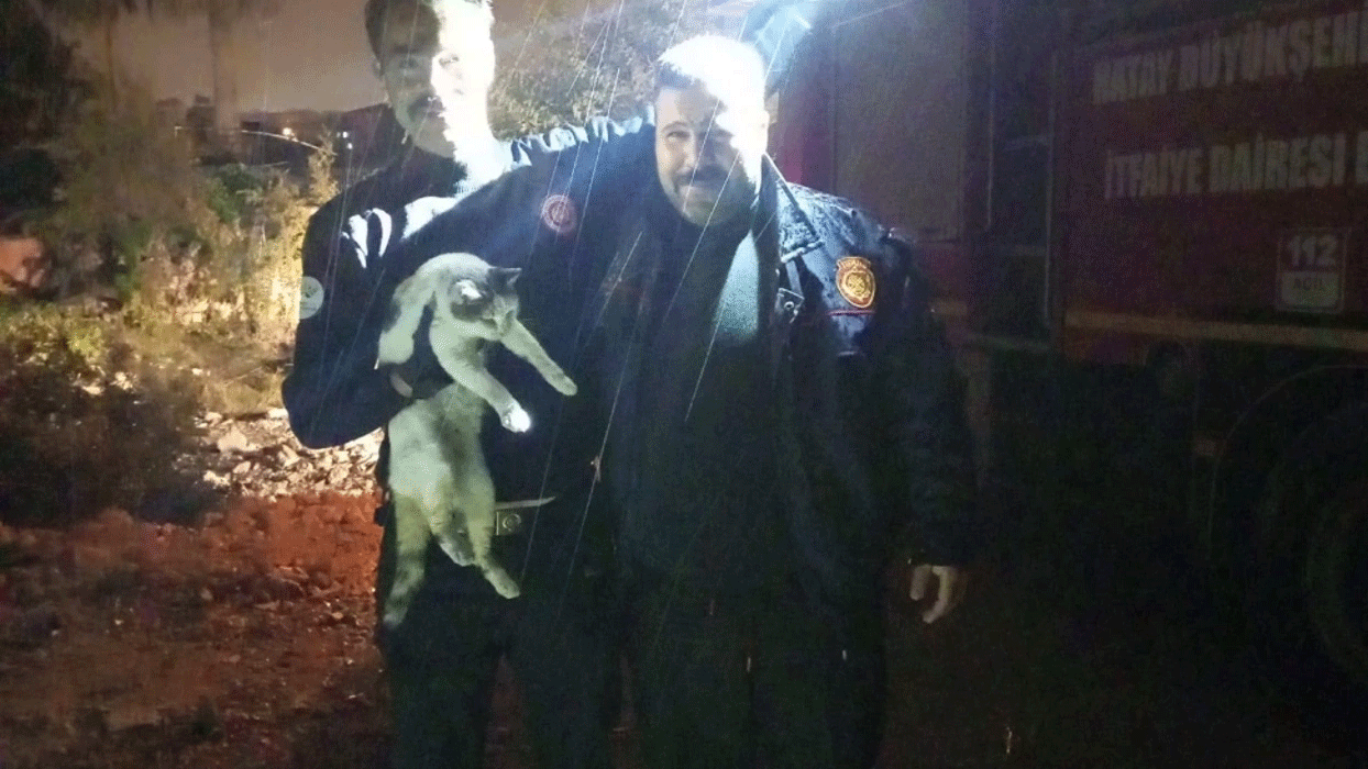 Hatay'da ağaçta mahsur kalan kediyi itfaiye ekibi kurtardı