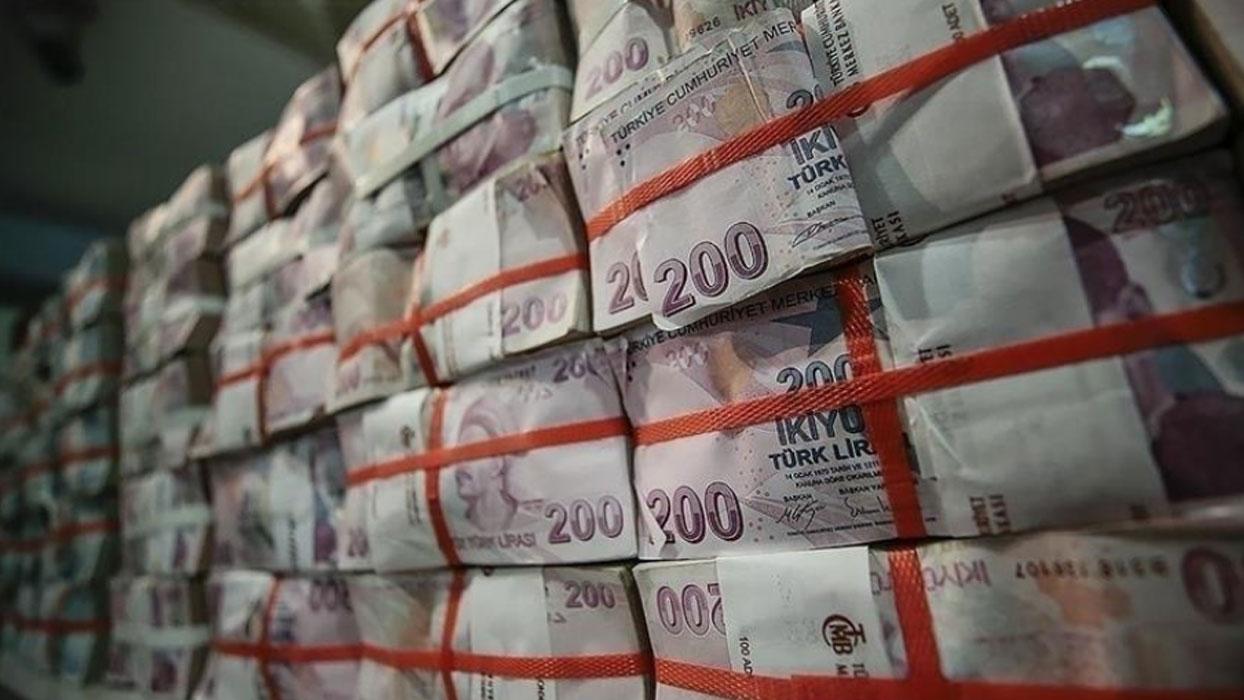 Merkez Bankası'nın rezervlerinde tarihi rekor