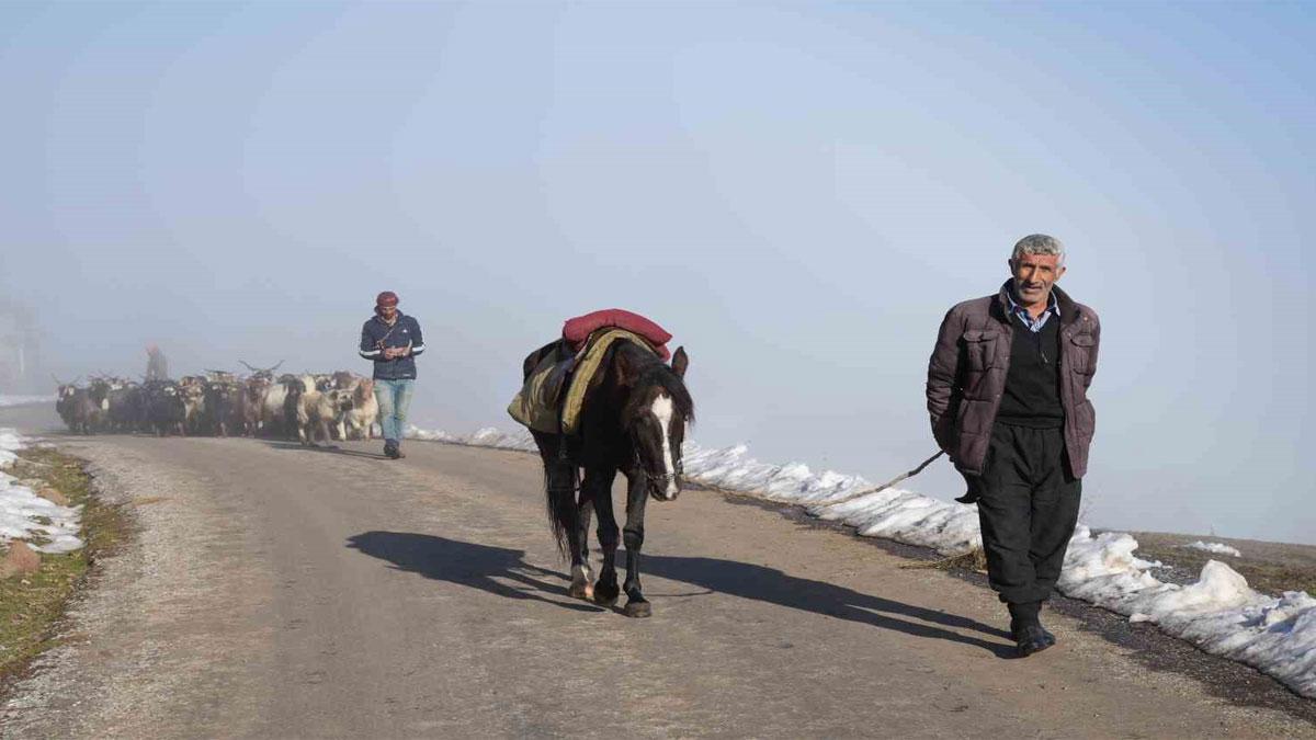 Muş'ta karlı dağlardan 4 Saatlik yolculukla köye dönen besiciler
