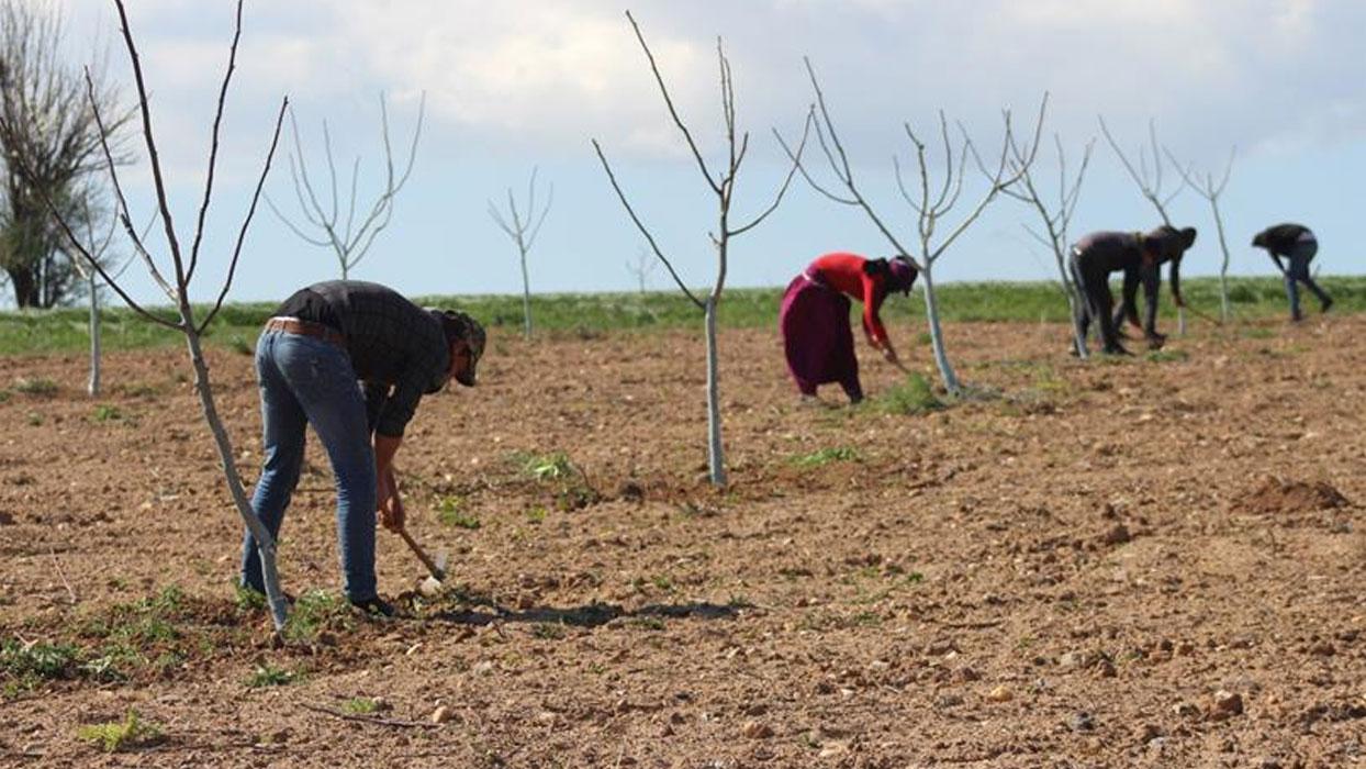 Sarıgöl'de tarım işçi ücretleri belirlendi