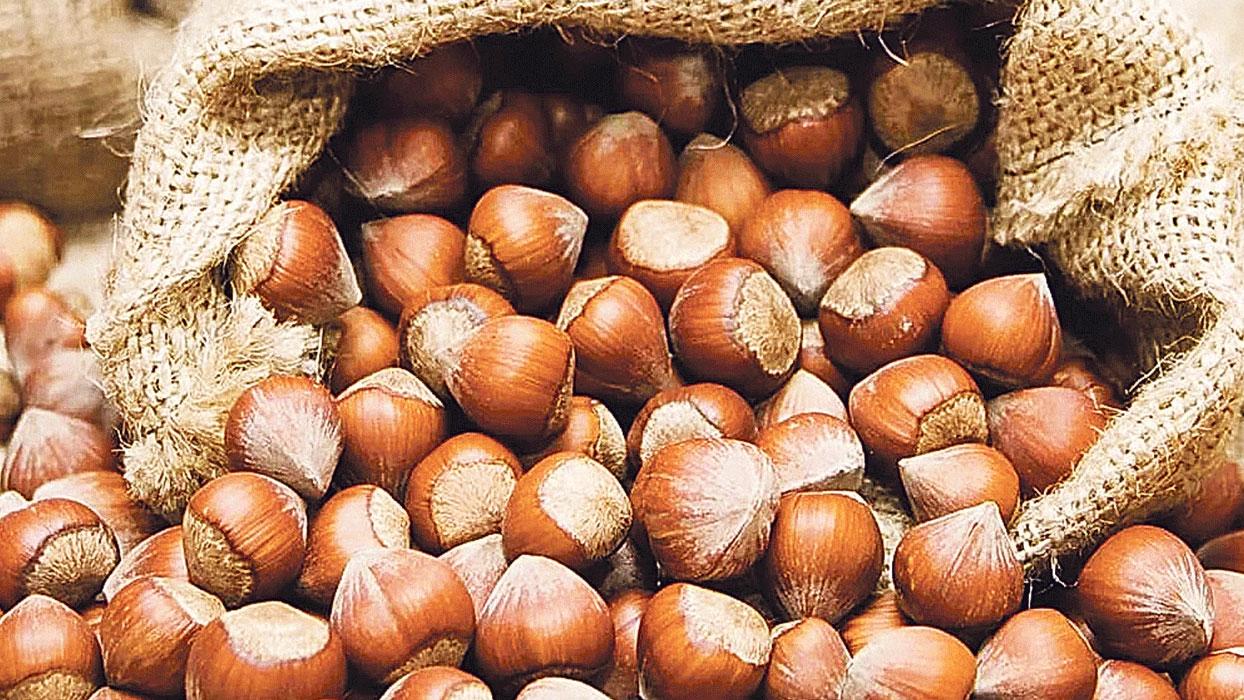 Türkiye'den Almanya'ya 496 milyon dolarlık ihracat