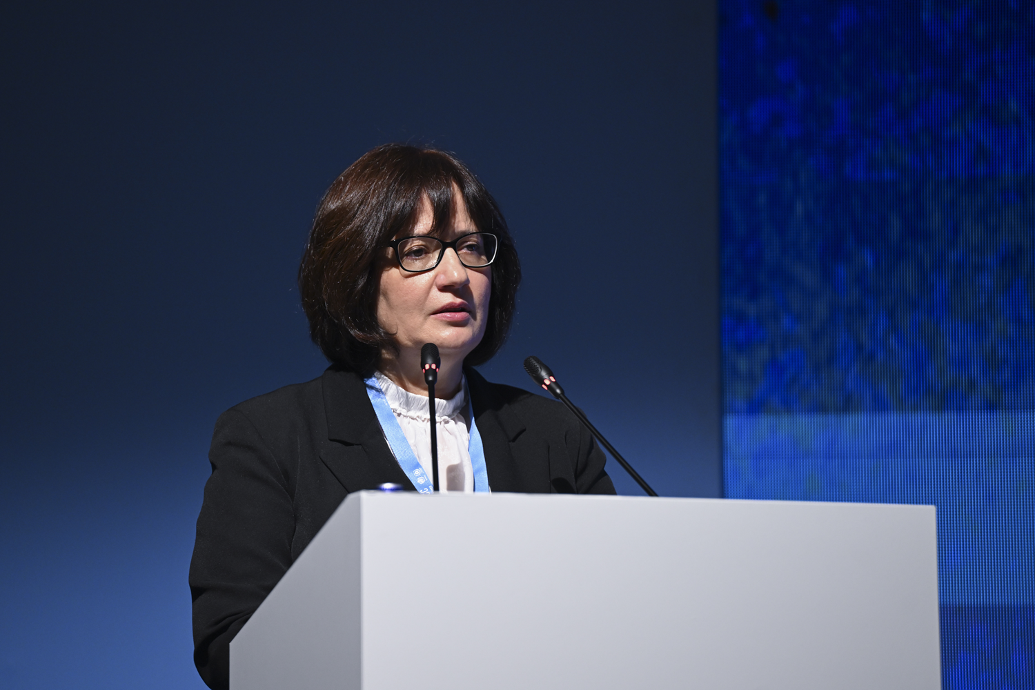 Çevre, Şehircilik ve İklim Değişikliği Bakan Yardımcısı Varank, IPCC programında konuştu