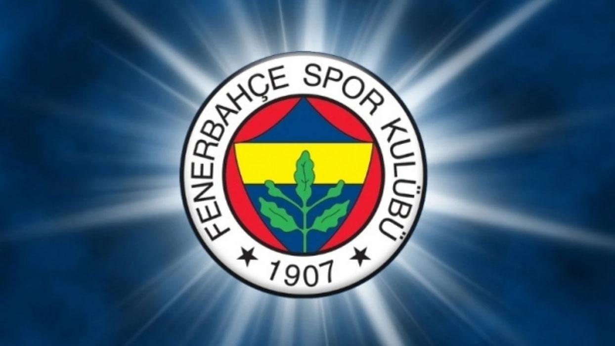 Fenerbahçe'nin kış transfer dönemi dosyası
