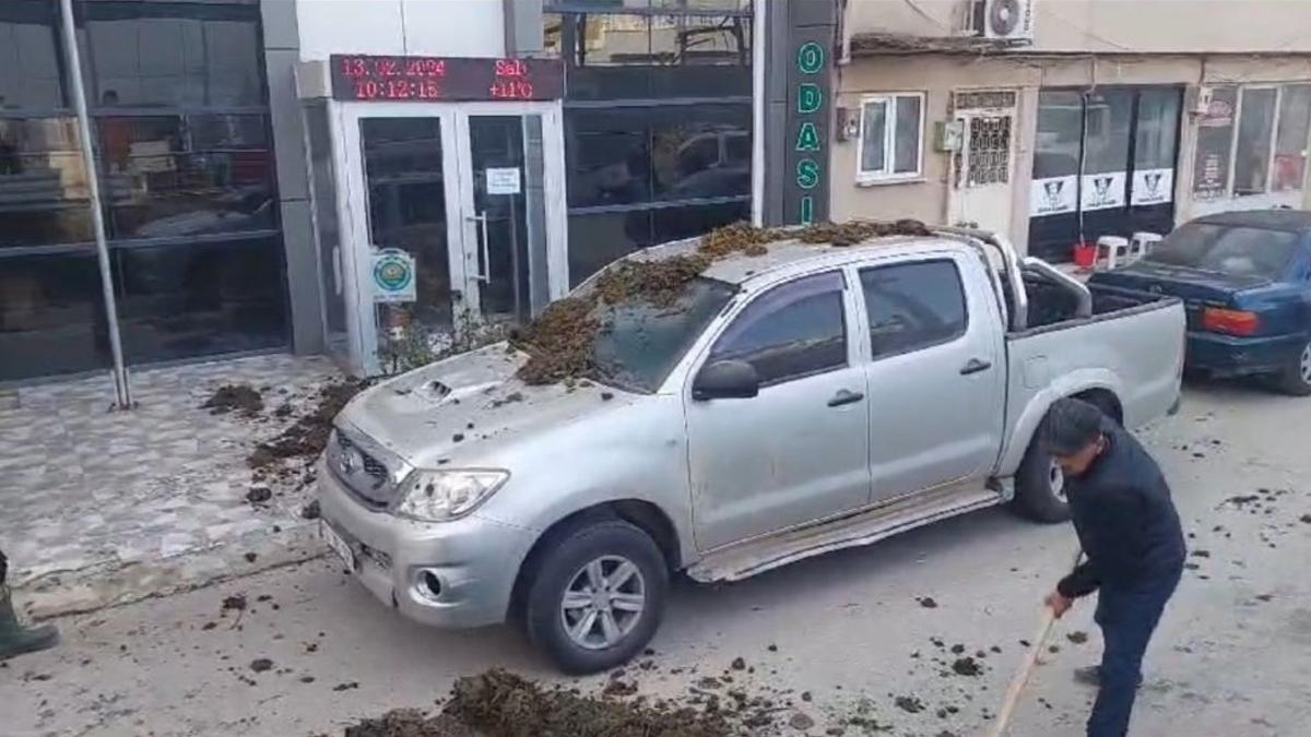 Çiftçilerden CHP'li başkan adayına hayvan dışkılı protesto!