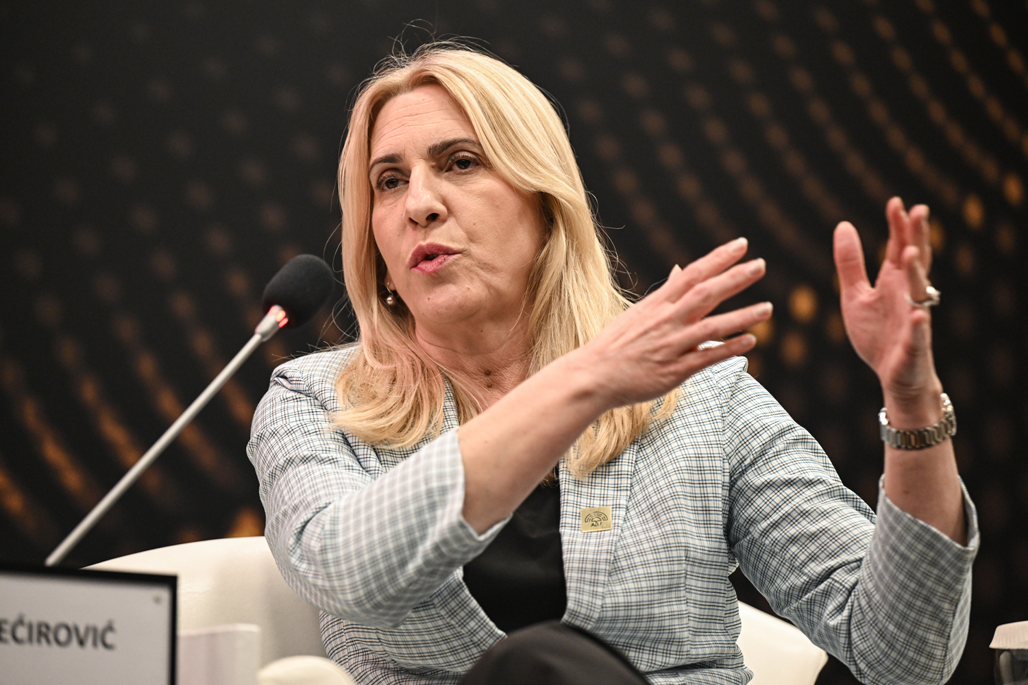 Bosna Hersek Devlet Başkanlığı Konseyi Sırp Üyesi: Çatışmalarda Diplomasi Öncelikli Olmalı