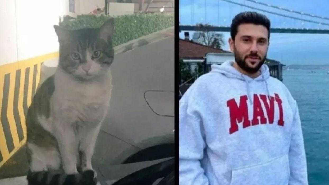 Kedi Eros'un ölümüne neden olan İbrahim Keloğlan'ın cezası belli oldu