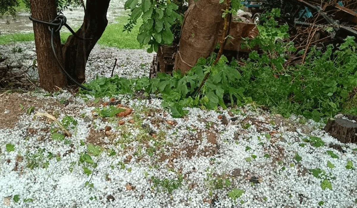 Adana dolu ile beyaza büründü