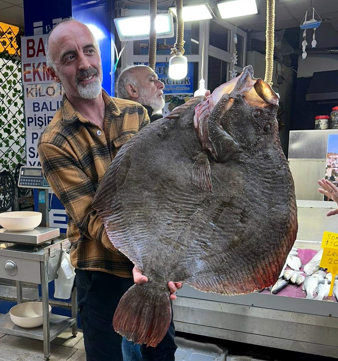 Sinop'ta avlanan 12 kilogramlık kalkan balığı 14 bin 500 liraya satıldı