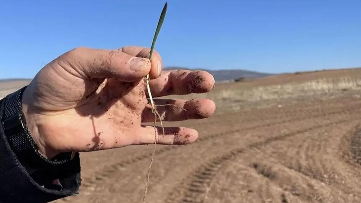 Bakan Yumaklı'dan, peyzajda çim yerine 'kuraklığa dayanıklı bitki' kullanımı çağrısı