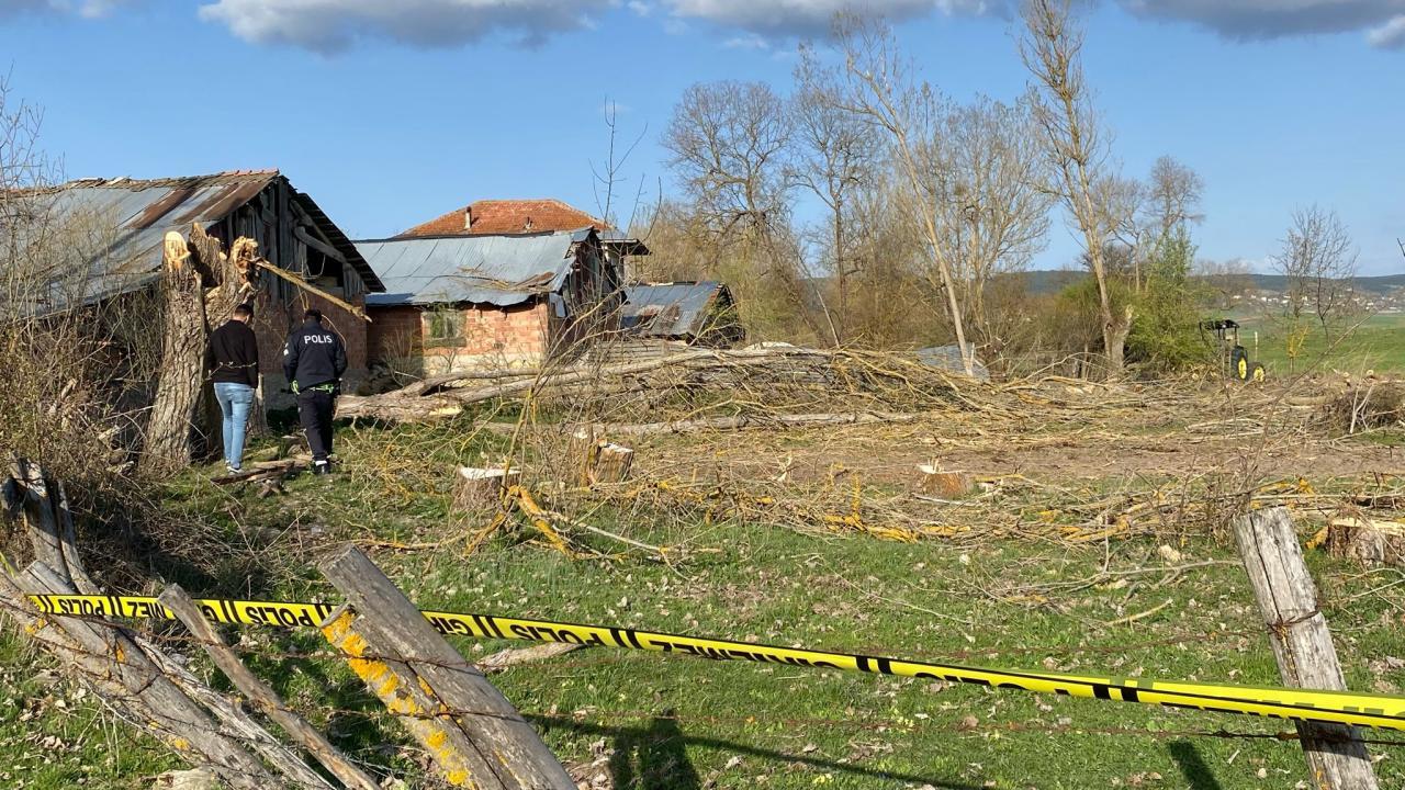 Karabük'te kestiği ağacın altında kalan kişi öldü