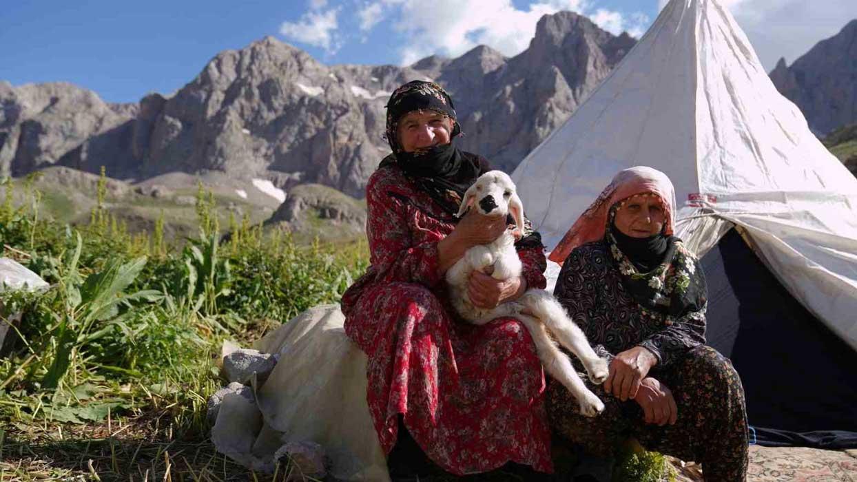 Havalar ısındı, meralar şenlendi