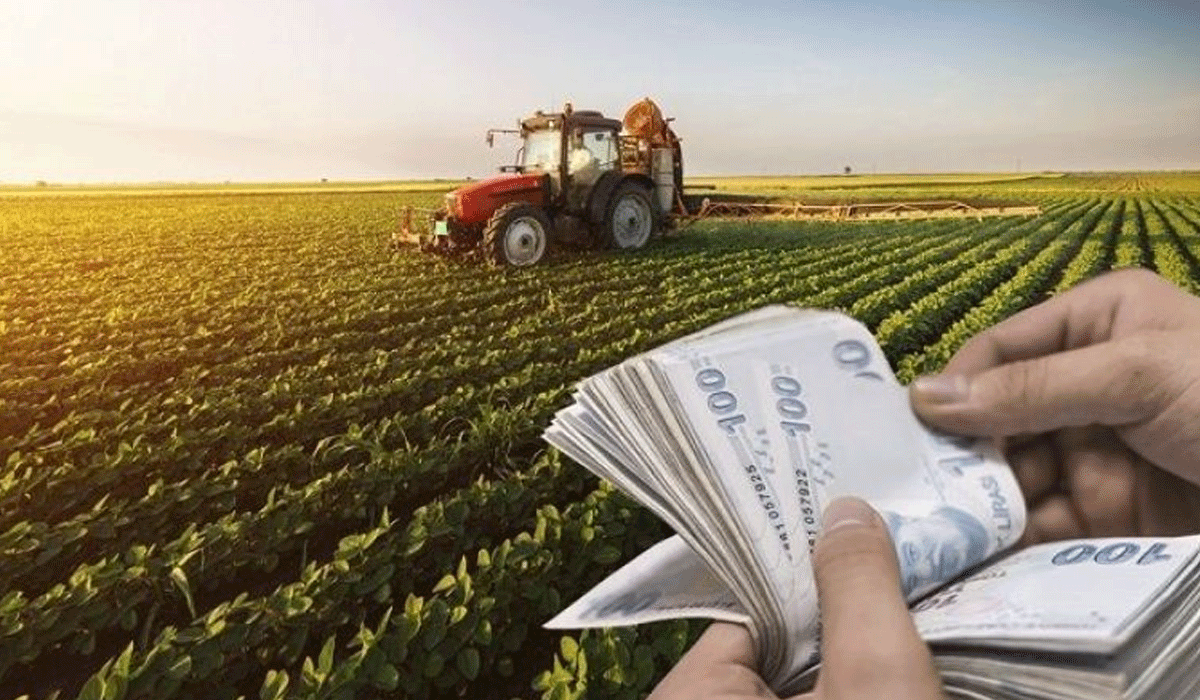 Çiftçilere müjde! 694,5 milyon lira destek paketi bugün hesaplarda