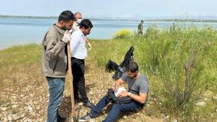 Atatürk Barajı'ndaki martı ölümleri inceleme altında