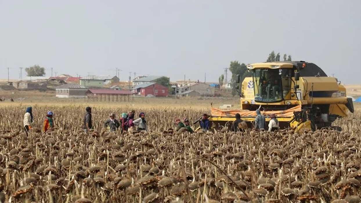 Mevsimlik tarım işçilerine yönelik Cumhurbaşkanlığı Genelgesi Resmi Gazete'de yayımlandı