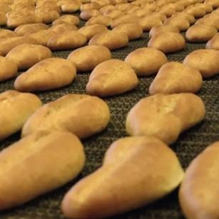 Yüzde 60 başarı sağlandı! Türkiye'de günlük 8 milyon ekmeğin israfı önlendi 