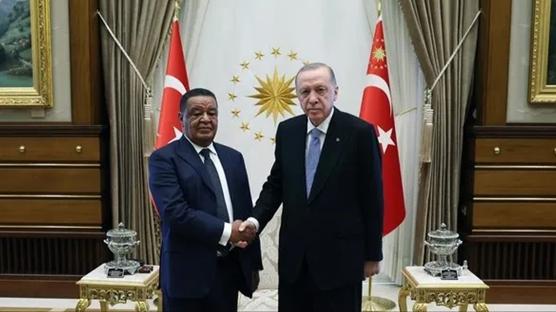 Başkan Erdoğan eski Etiyopya Cumhurbaşkanı ile görüştü