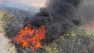 Şırnak'ta tarım arazisinde yangın