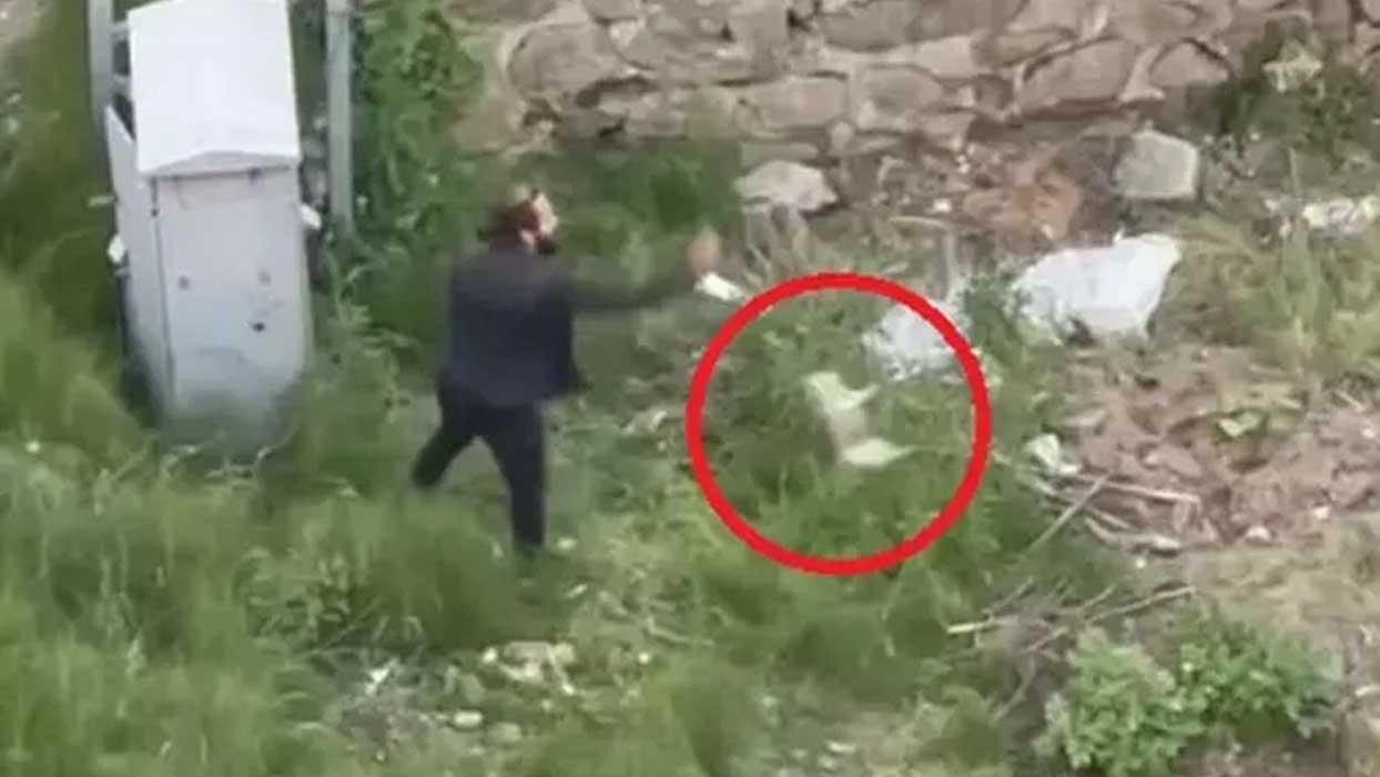 Trabzon'da vahşet! Tekmelediği yavru kediyi ezerek öldürüp, fırlattı... İfadesi 'pes' dedirtti 