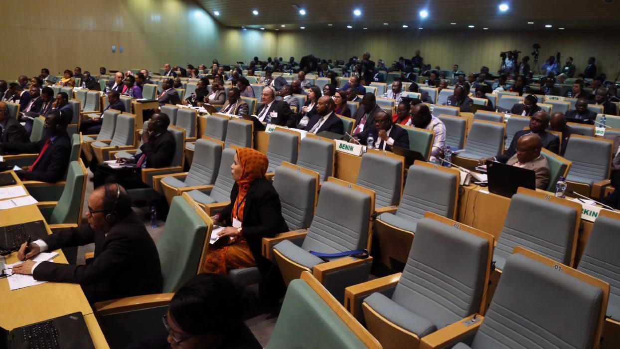 Afrika Birliği Komitesi, kıtanın BMGK'ye üyeliğine ilişkin bir eylem planı geliştirdi