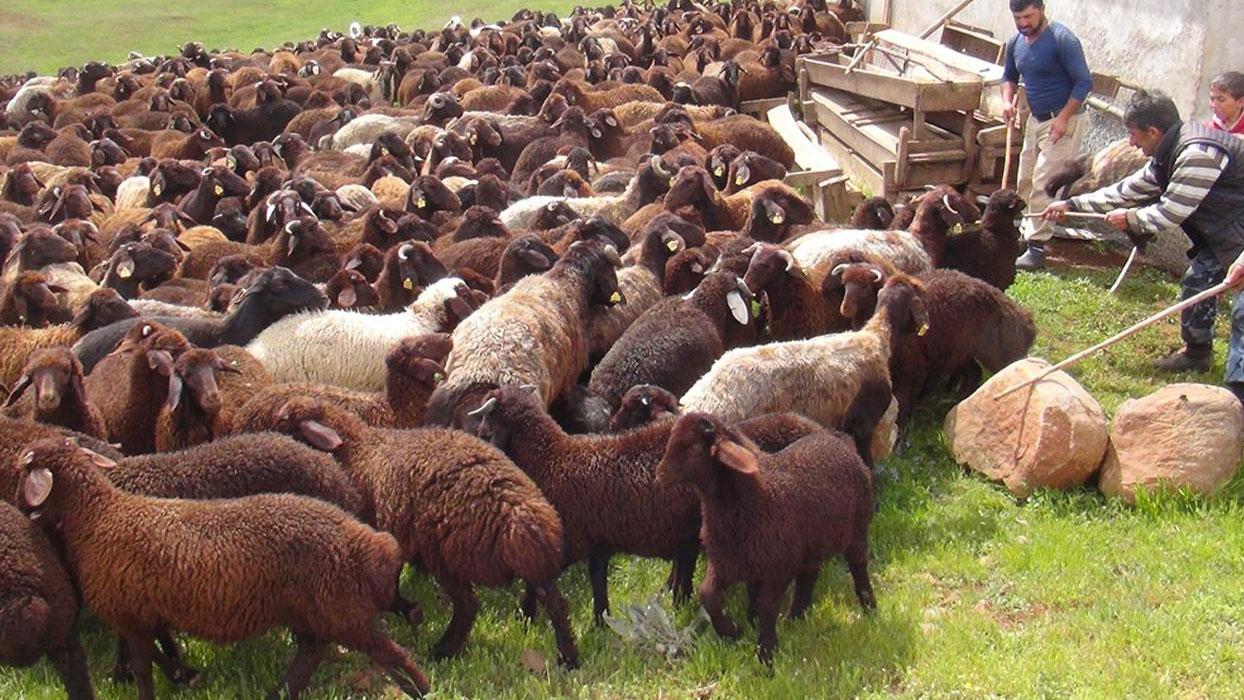 Maaş 50 bin TL: Bu meslek, genç nesiller tarafından tercih edilmiyor