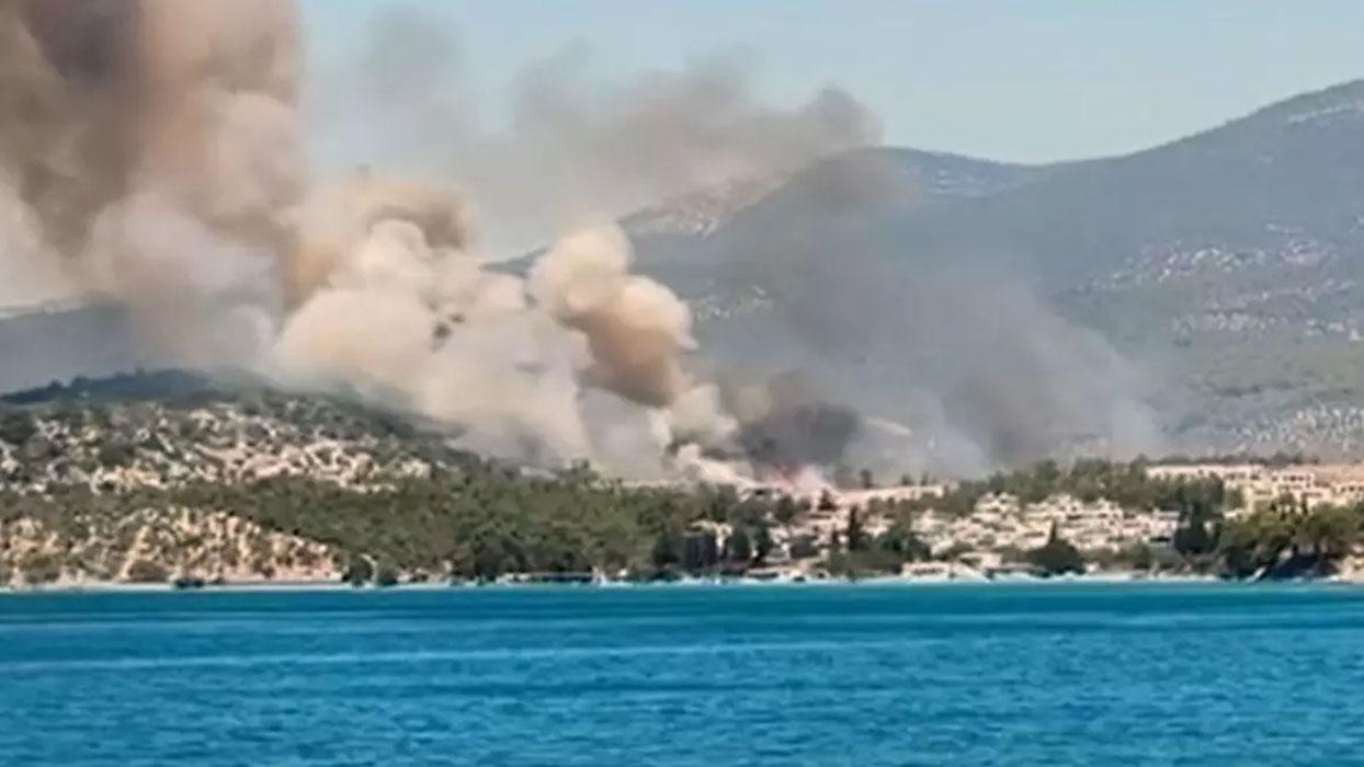 Muğla Milas'ta orman yangını çıktı
