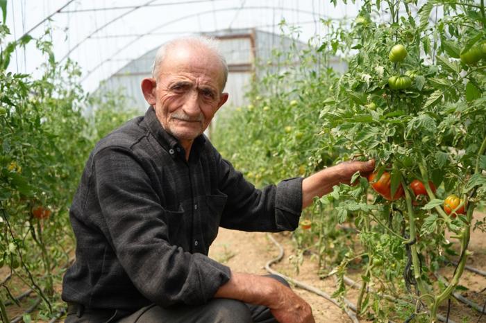 Ata tohumu memleket meselesi" diyen 74 yaşındaki çiftçi ömrünü organik tarıma adadı