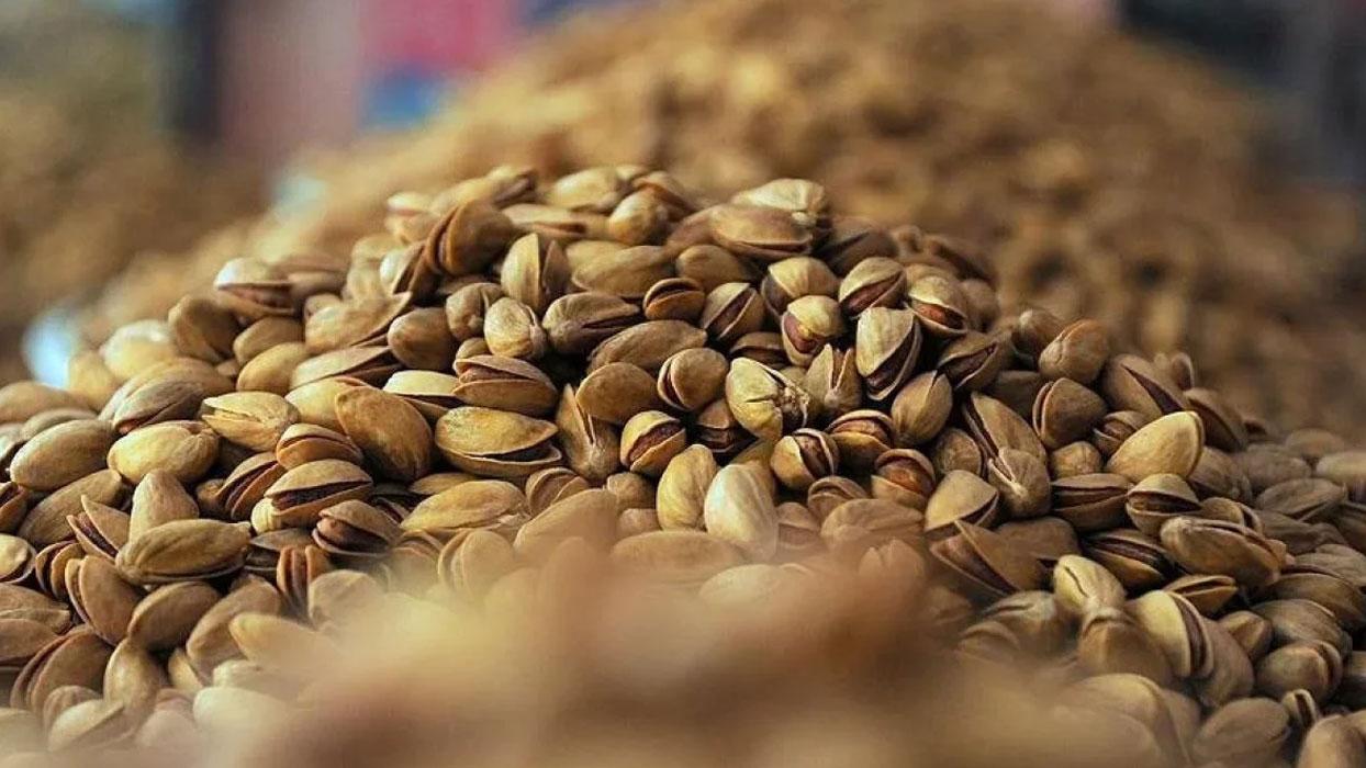 6 ayda 82 ülkeye 96 milyon dolarlık fıstık ihracatı yapıldı