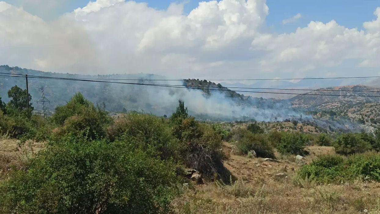 Kayseri'de ormanlık alanda yangın