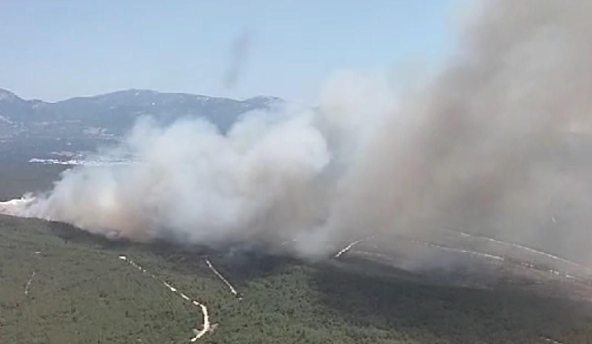 Buca'da orman yangını: Havadan ve karadan müdahale ediliyor