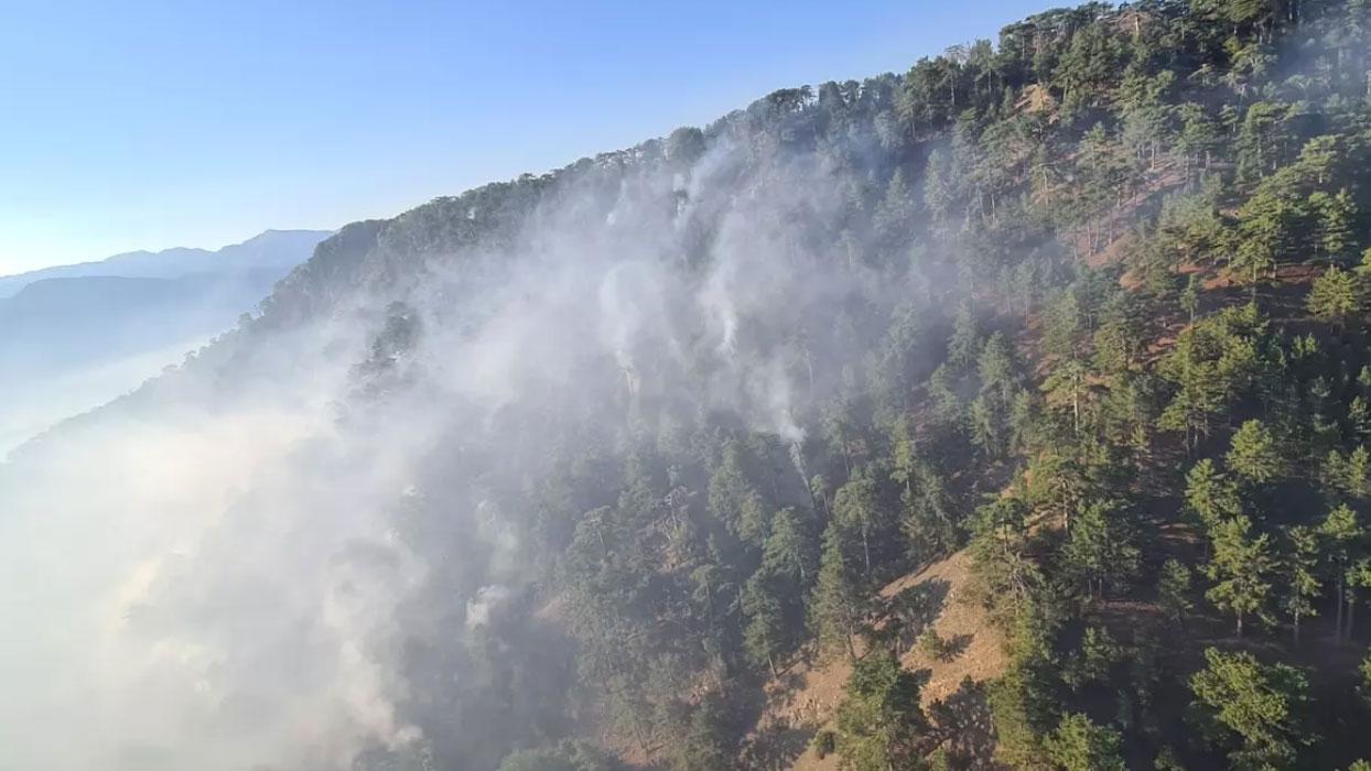 Manisa'da ormana sıçrayan yangına müdahale başlatıldı
