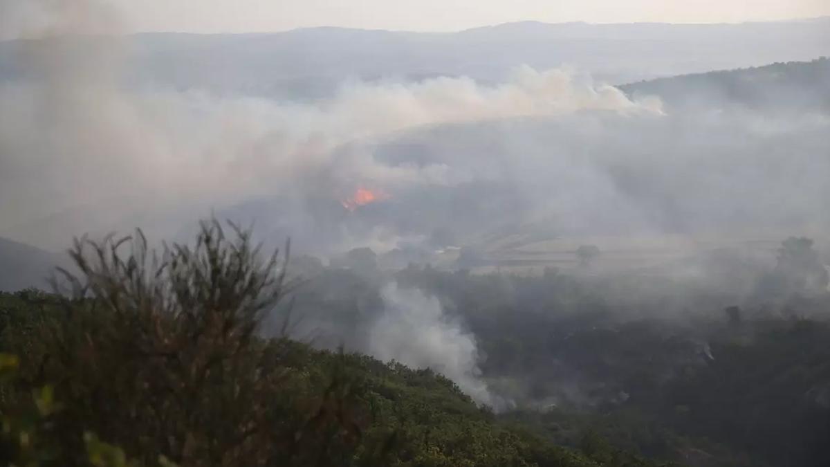 Bakan Yumaklı: 18 Temmuz'da ülke genelinde 48 yangına OGM tarafından müdahale edildi