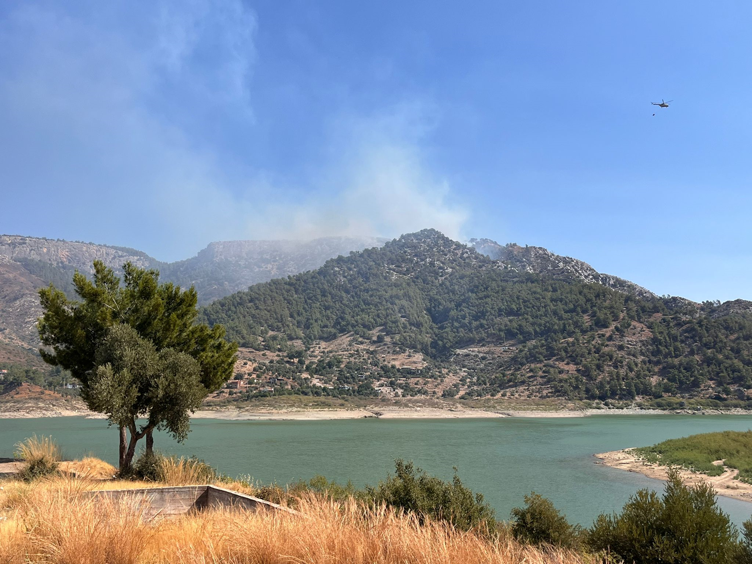 Muğla Milas'ta çıkan orman yangınına hava ve karadan müdahale