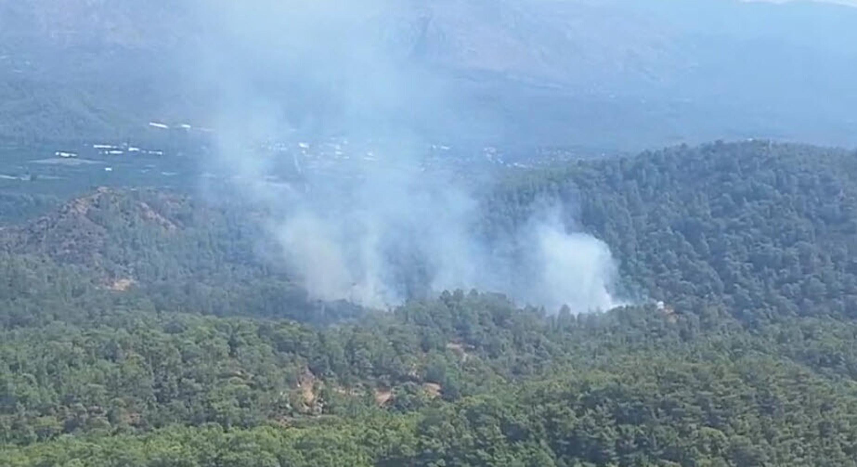 Muğla'da orman yangını: Havadan ve karadan müdahale ediliyor