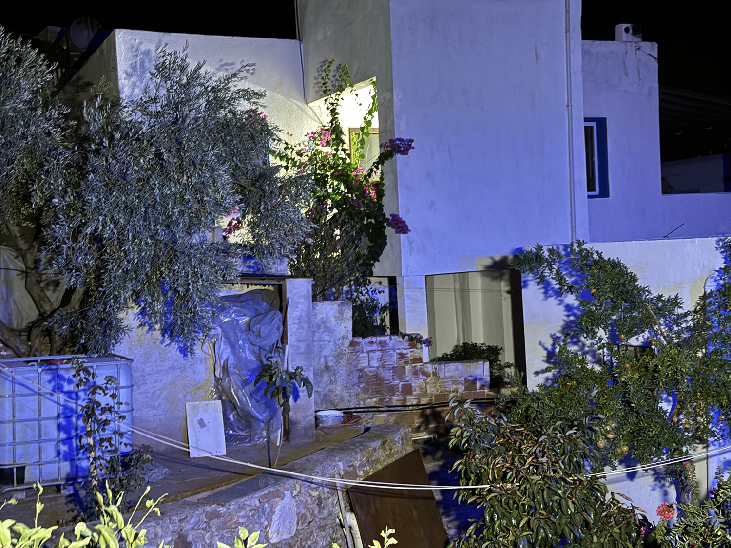 Bodrum'da korkunç olay! İki kişi ölü bulundu