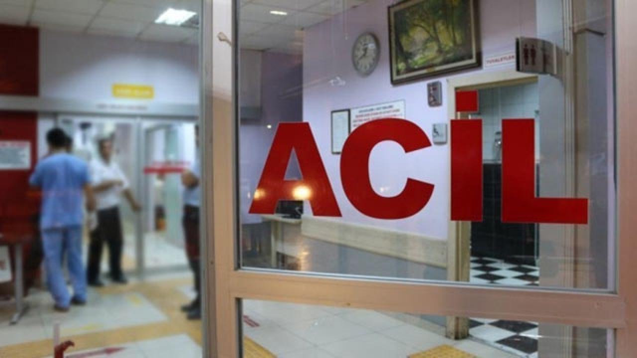Başıboş köpekten kaçan çocuk düşerek yaralandı