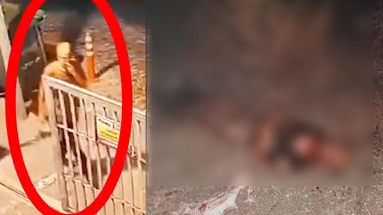 Fatih'te sahipsiz köpeklerin saldırdığı kişi hayatını kaybetti