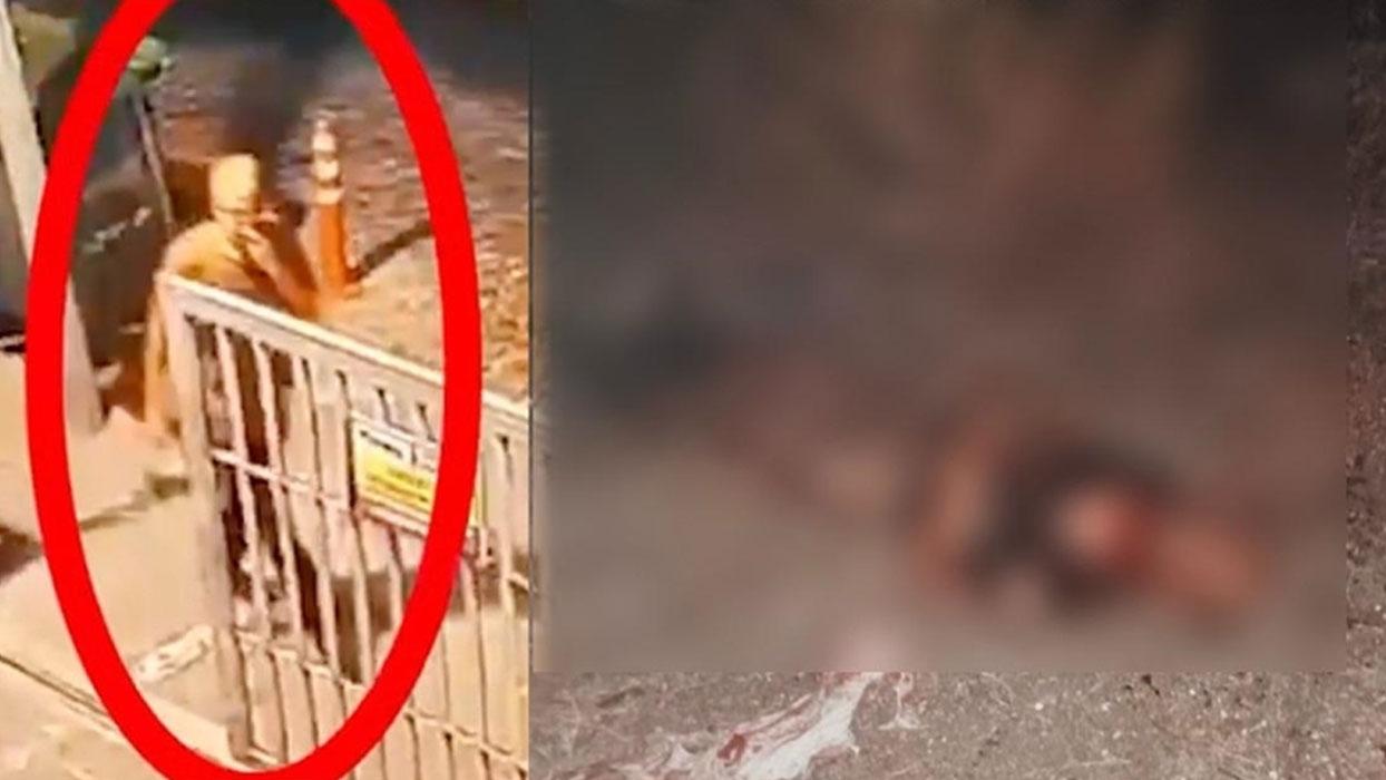 Sahipsiz köpekler katletmişti: Ayhan Özçelik'in raporuna ulaşıldı