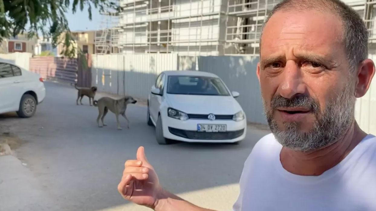 Akılalmaz olay! ''Sahiplenilen saldırgan köpek tekrar sokağa bırakıldı'' iddiası