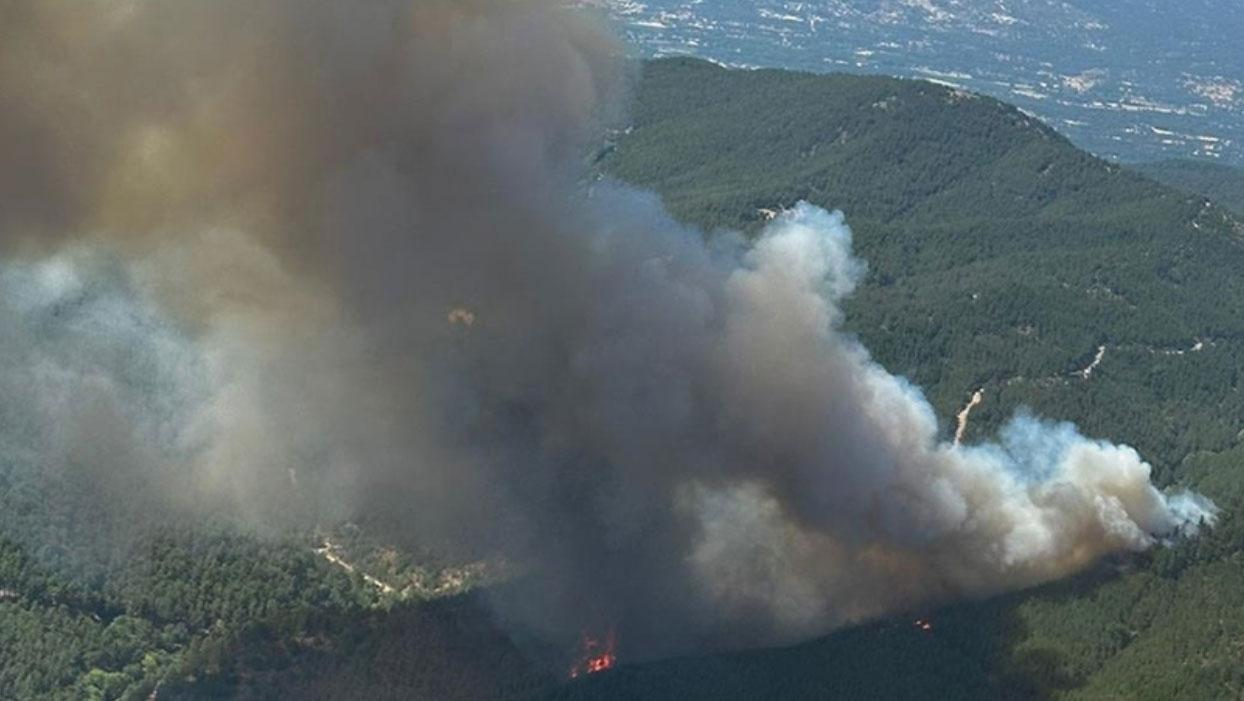 Bergama'da orman yangını: Havadan ve karadan müdahale ediliyor