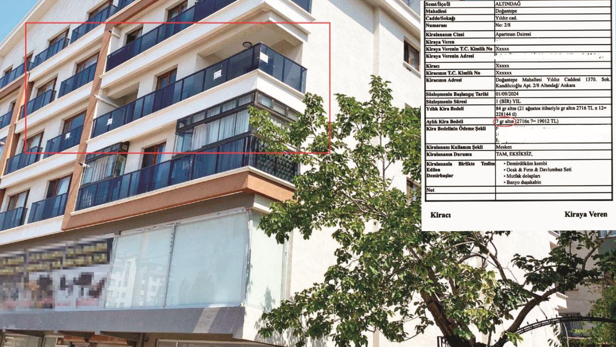 Kira bedeli 7 gram altın! Profesör tarifesi