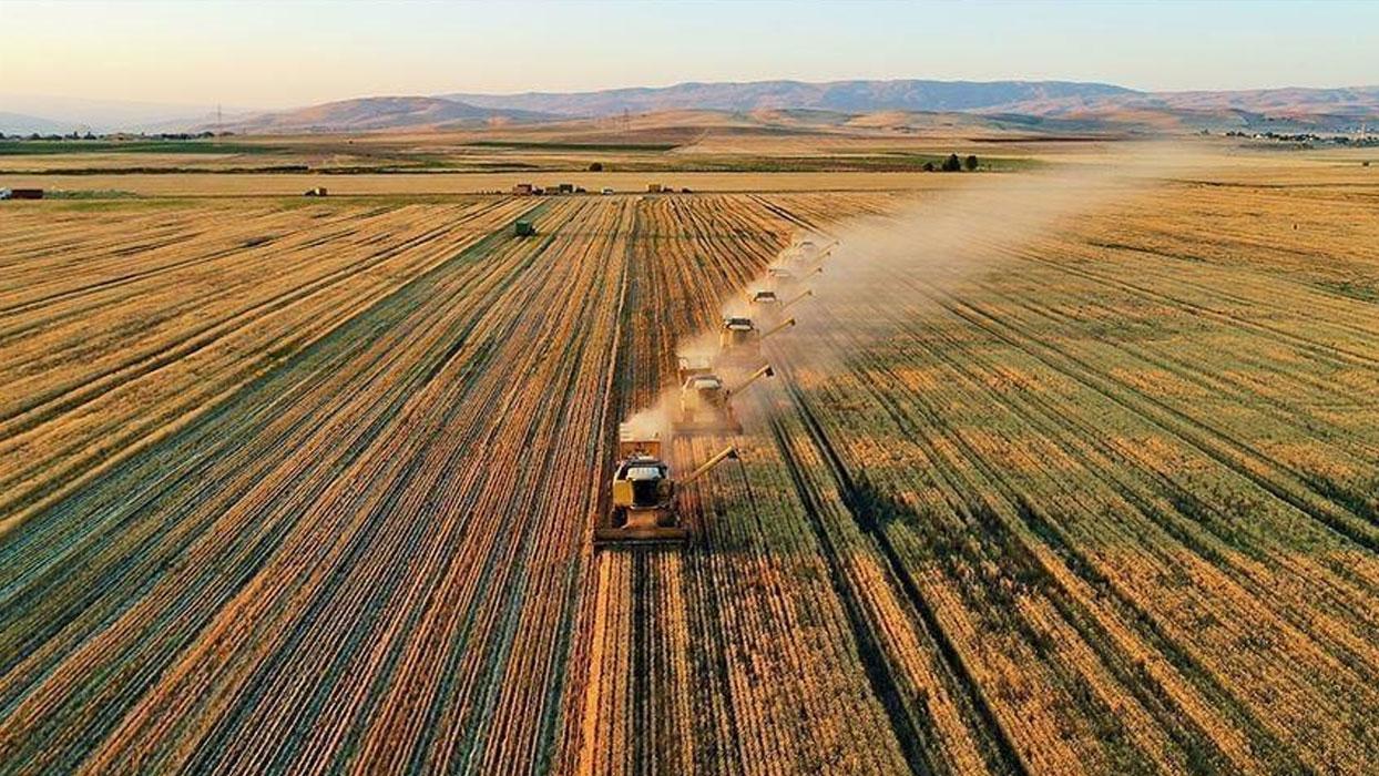Çiftçilere 1,9 milyar liradan fazla tarımsal destekleme ödemesi yapıldı