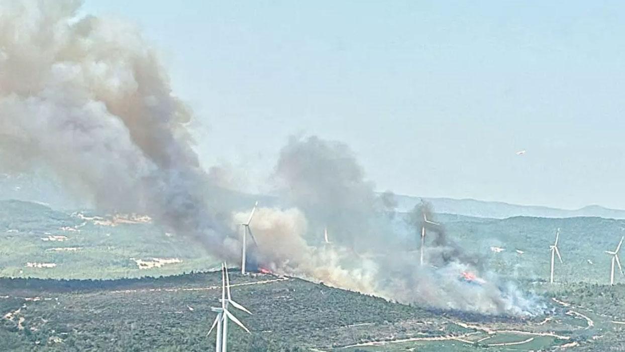 İzmir Urla'da orman yangını