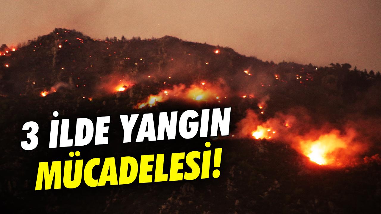 Üç ilde orman yangını! Muğla'da alevler rüzgarla büyüdü, karayolu trafiğe kapatıldı