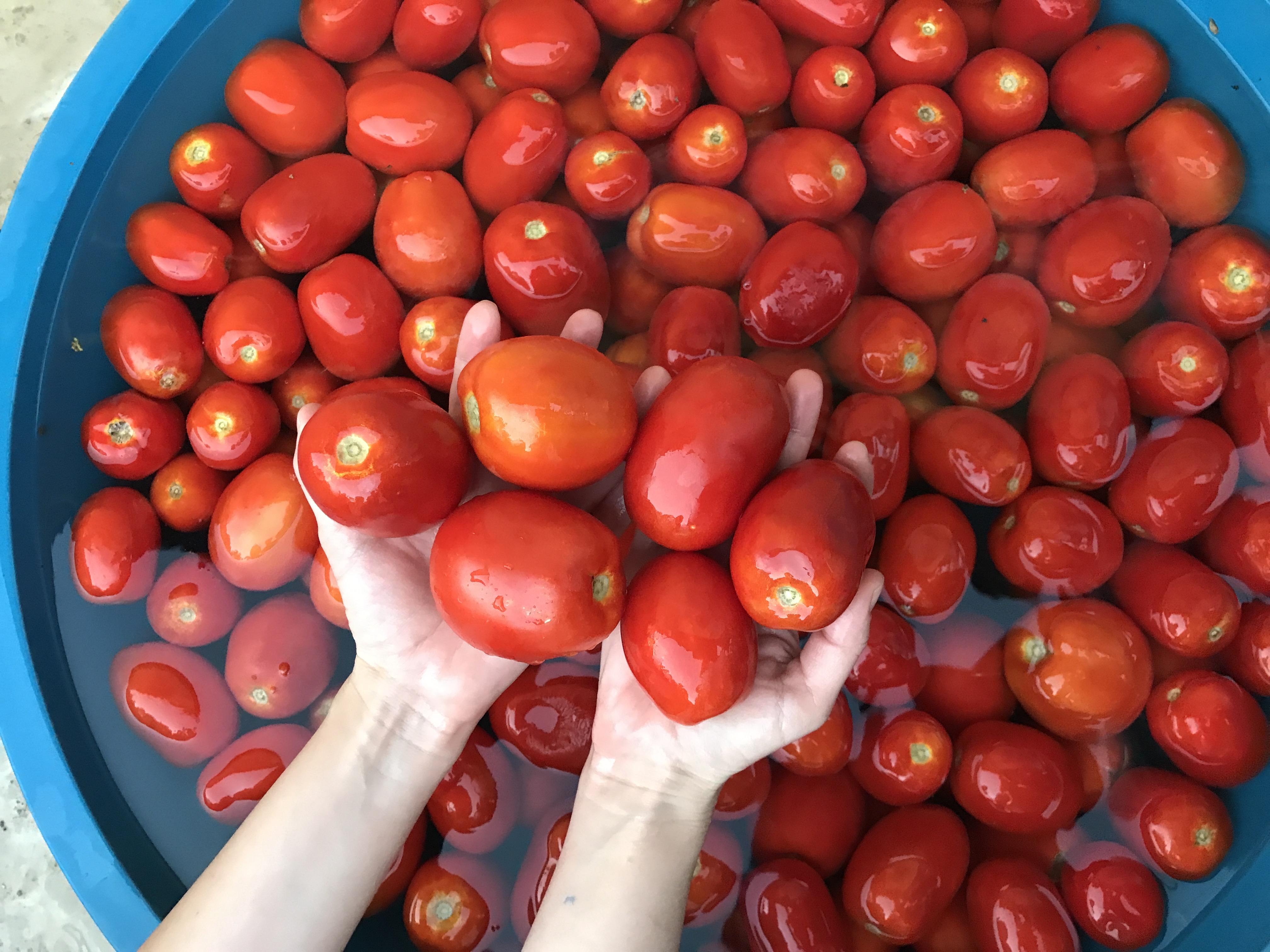 Salça tarifinde vitamin bombası! Uzmanlar kalbin ilacı dedi