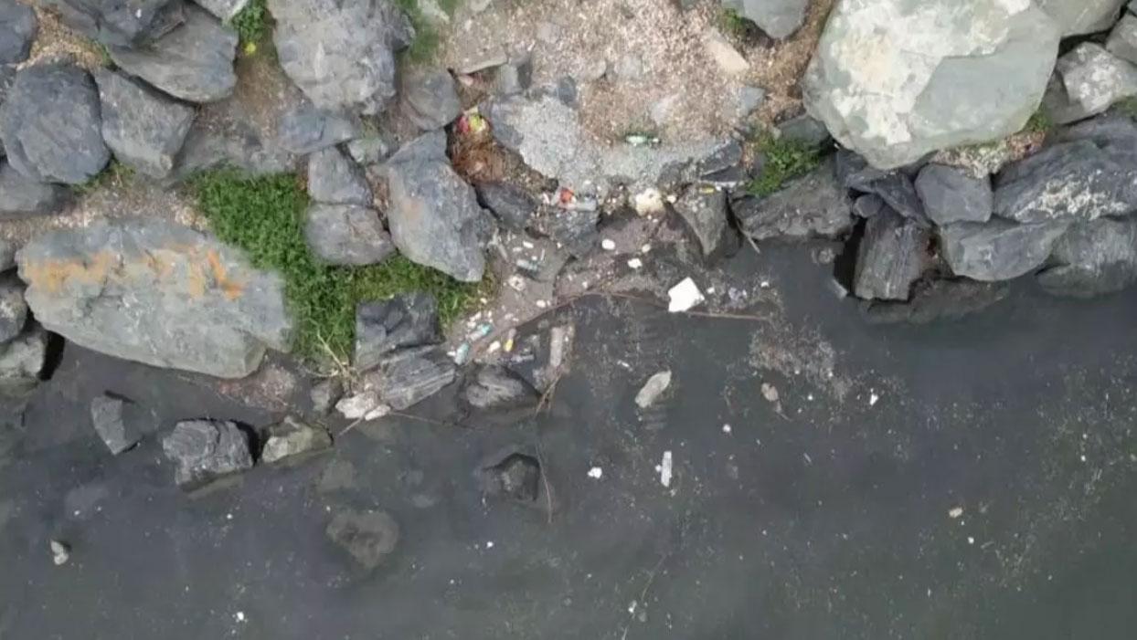 Haliç, çevre kirliliği ile yeniden gündemde: Sahil çöplerle kaplandı