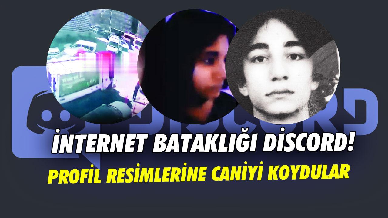 İnternet bataklığı discord! Profil resimlerine caniyi koydular