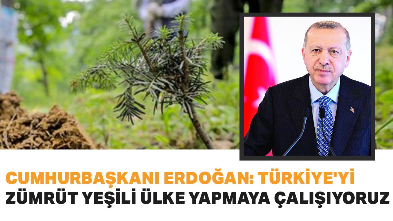 Cumhurbaşkanı Erdoğan: Türkiye'yi zümrüt yeşili ülke yapmaya çalışıyoruz